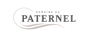 paternel logo